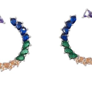 Ladies Multicolored Earrings