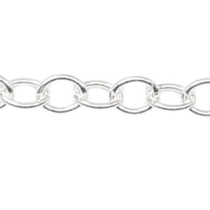 Silver Extension Chain/ BR 03