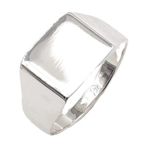 Silver Men's Rings RM-210