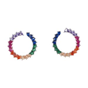 Ladies Multicolored Earrings